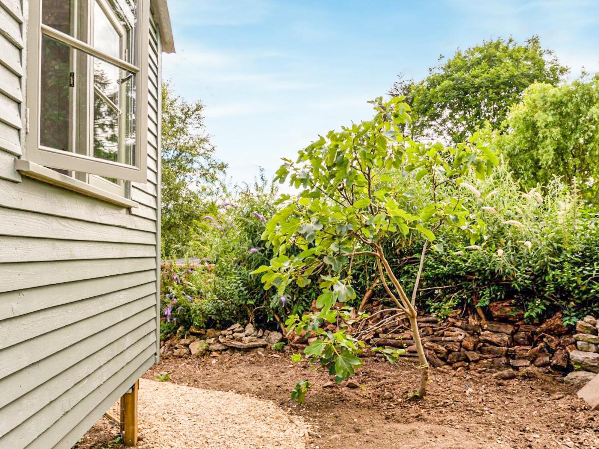 Fig Tree Shepherds Hut